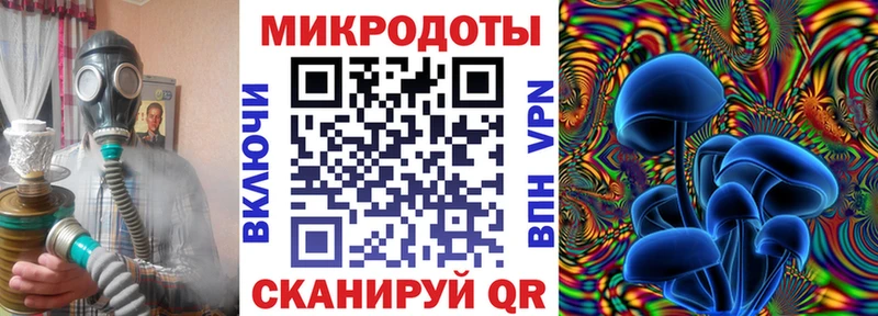 дарнет шоп  Касимов  Галлюциногенные грибы MAGIC MUSHROOMS 